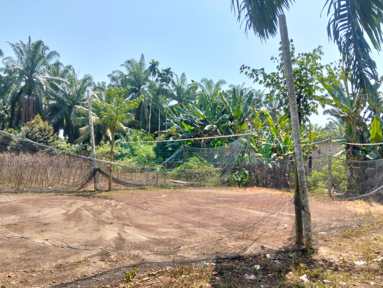 Lapangan Voli Karang Taruna